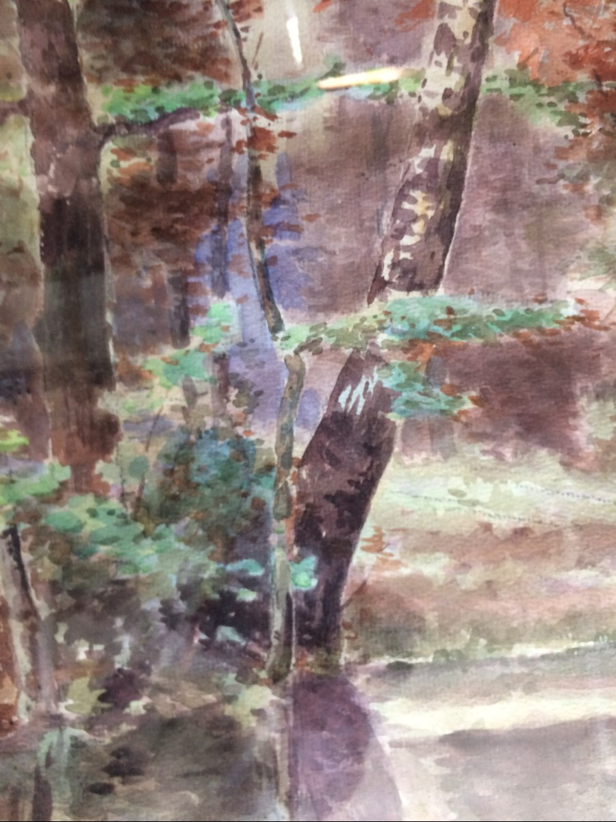 Watercolor By Béchard.-photo-3
