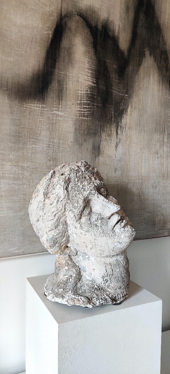 Grande Tête de Déesse à l'Antique en plâtre à patine d' extérieur, XIXème-photo-4