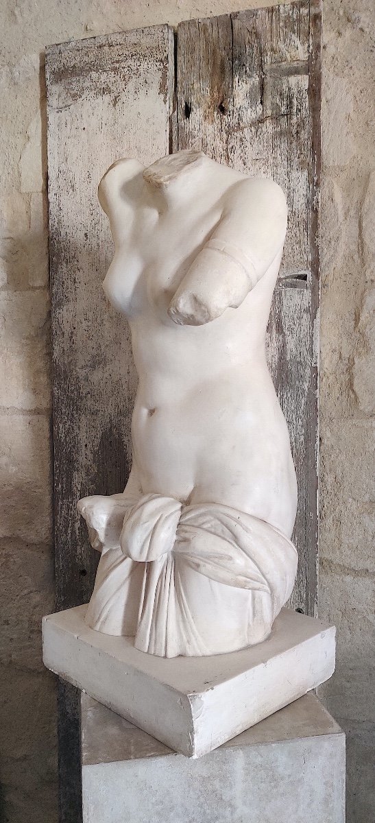 Large Torso Of Venus From Antiquity In Patinated Plaster, Late 19th/early 20th Century-photo-4