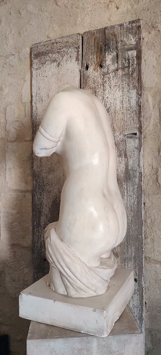 Large Torso Of Venus From Antiquity In Patinated Plaster, Late 19th/early 20th Century-photo-3