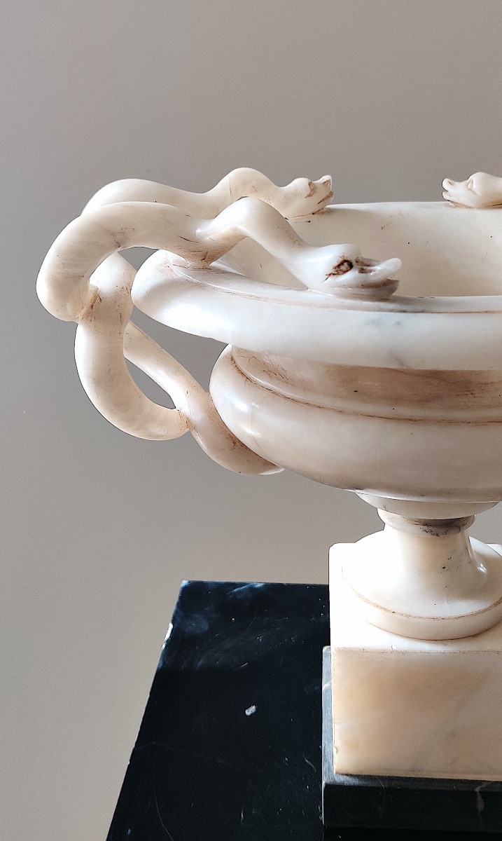 Grande coupe à l'Antique aux serpents ,  Albâtre , Grand Tour , XIXème-photo-3