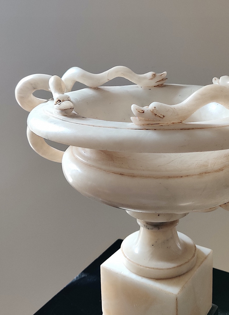 Grande coupe à l'Antique aux serpents ,  Albâtre , Grand Tour , XIXème-photo-7