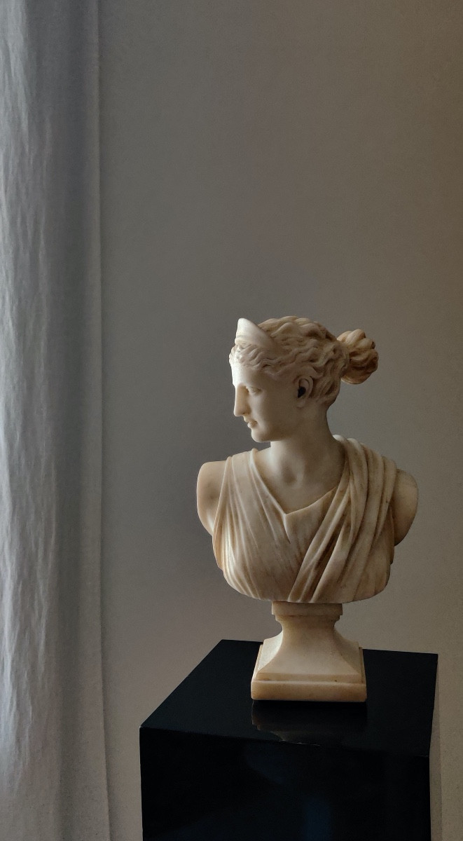 Bust In Sculpted Marble -photo-2