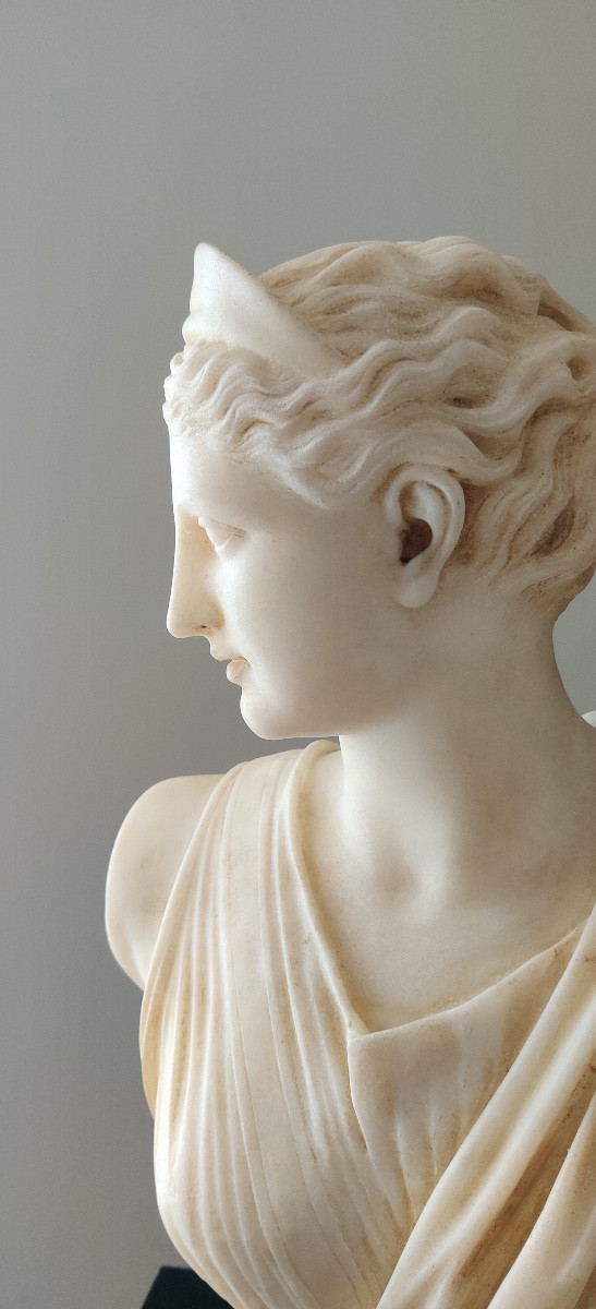 Bust In Sculpted Marble -photo-4