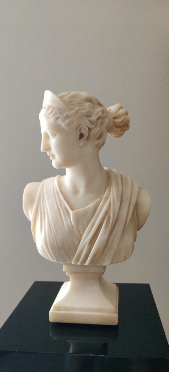 Bust In Sculpted Marble -photo-1