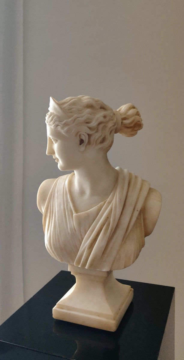 Bust In Sculpted Marble 