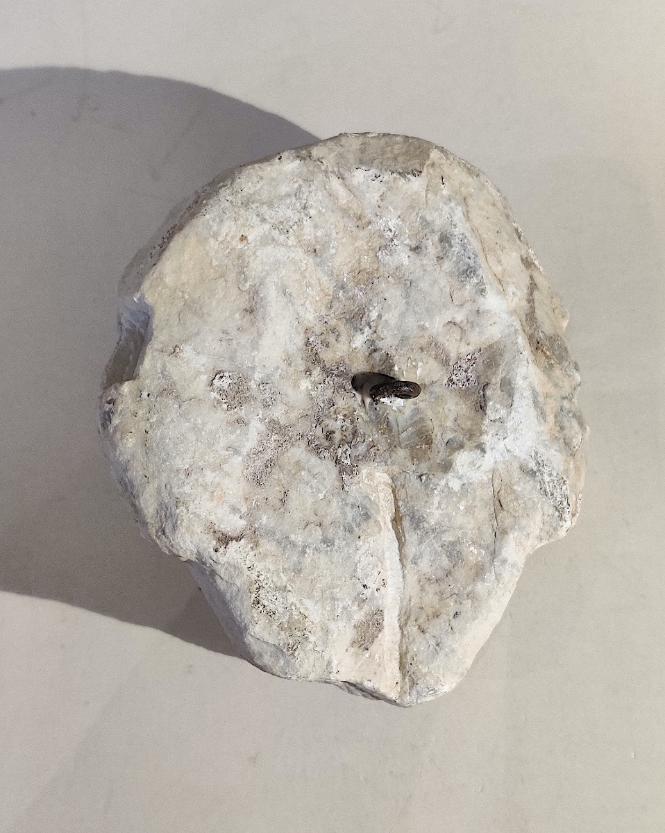 High Middle Ages Head Carved From Marble, Italy, 14th Century -photo-5