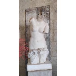 Large Torso Of Venus From Antiquity In Patinated Plaster, Late 19th/early 20th Century