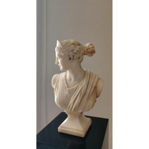 Bust In Sculpted Marble 