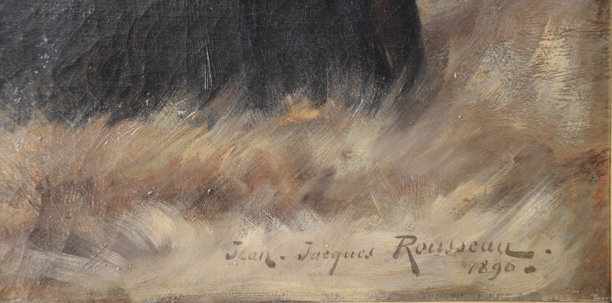 Jean Jacques Rousseau: 1861-1911.-photo-5