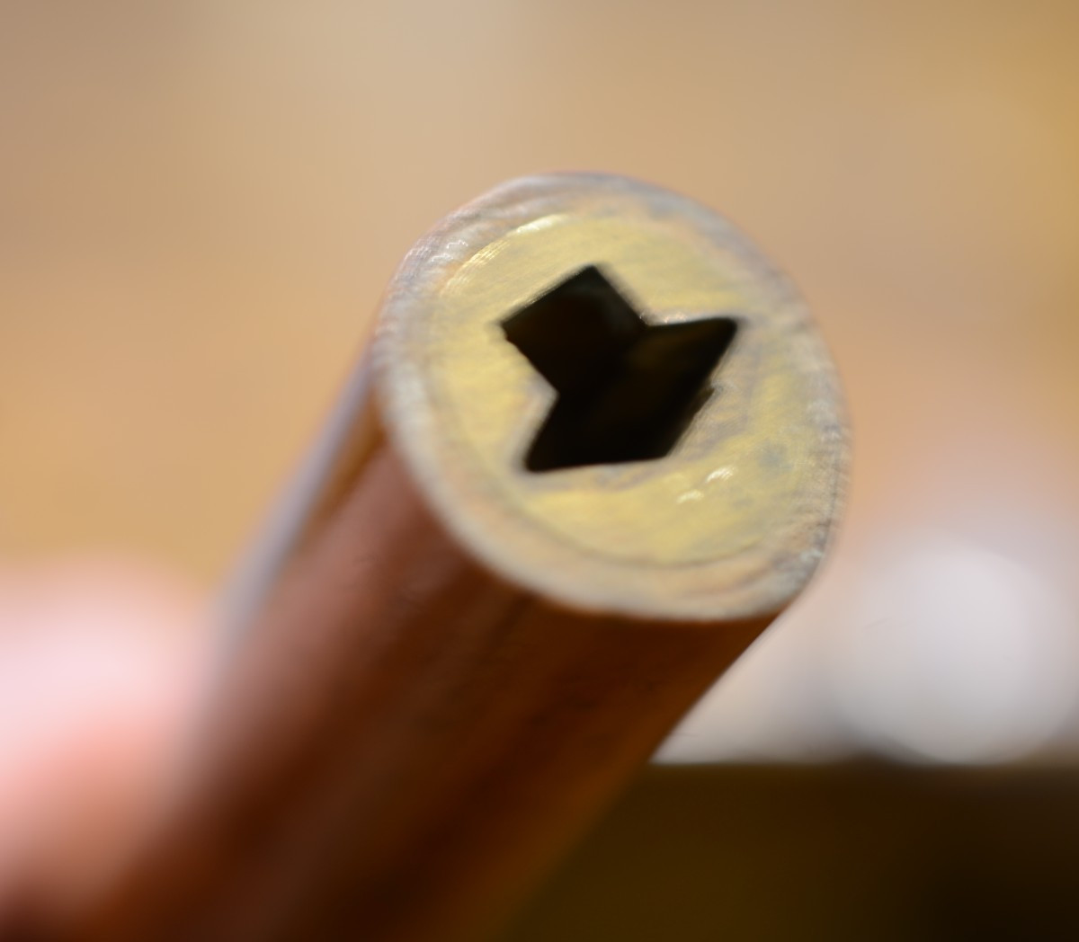 Sword Cane. Nineteenth Century.-photo-2