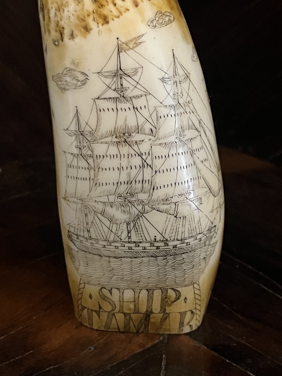 Scrimshaw en ivoire de cachalot. Dix neuvième siècle.-photo-3