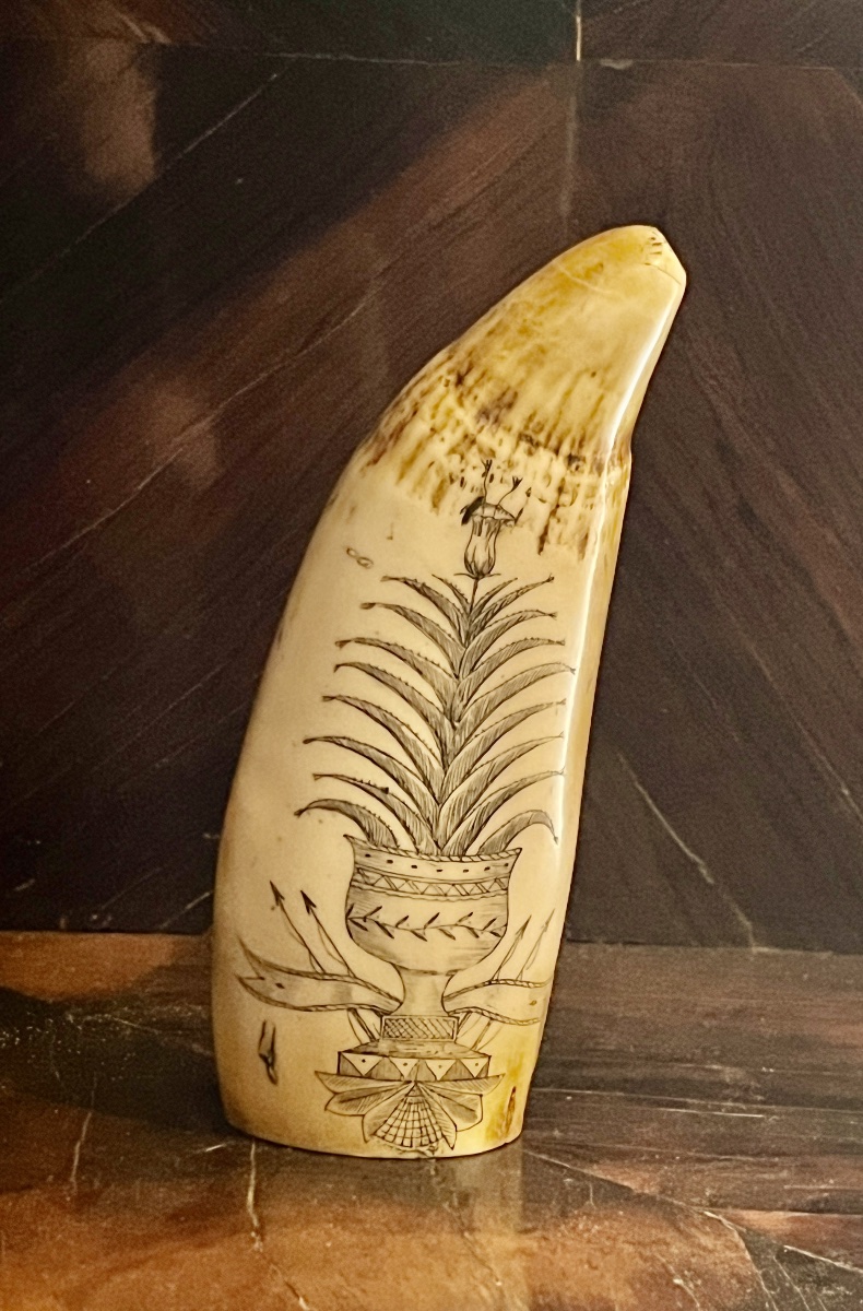 Scrimshaw en ivoire de cachalot. Dix neuvième siècle.-photo-4
