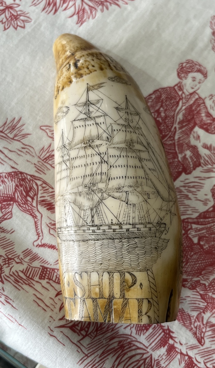 Scrimshaw en ivoire de cachalot. Dix neuvième siècle.-photo-2