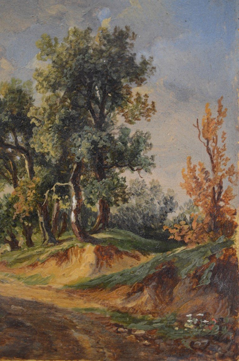 Miniature Landscape On Paper. Nineteenth Century.-photo-5