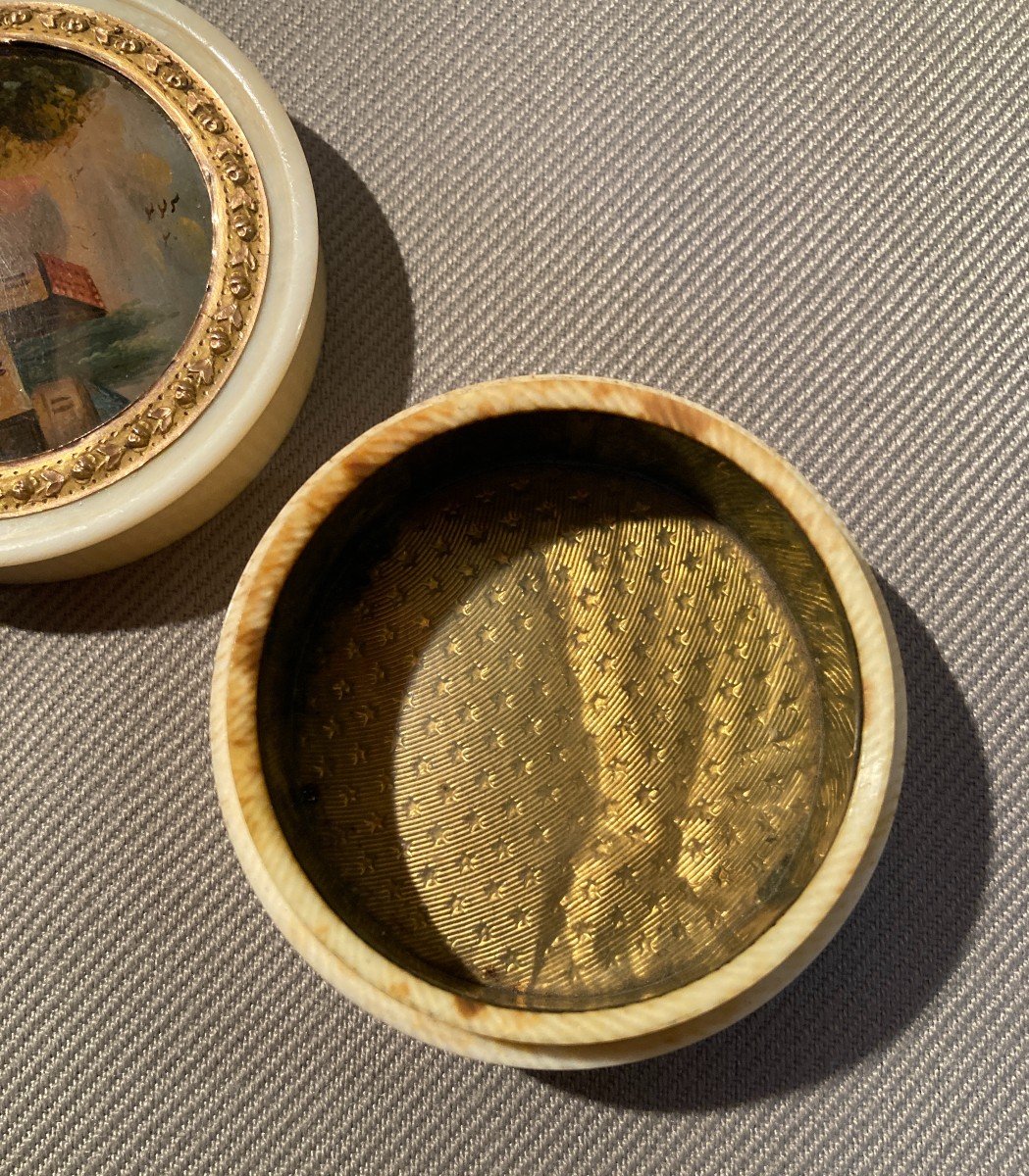 Small Ivory Box / Miniature Fixed Under Glass-photo-3
