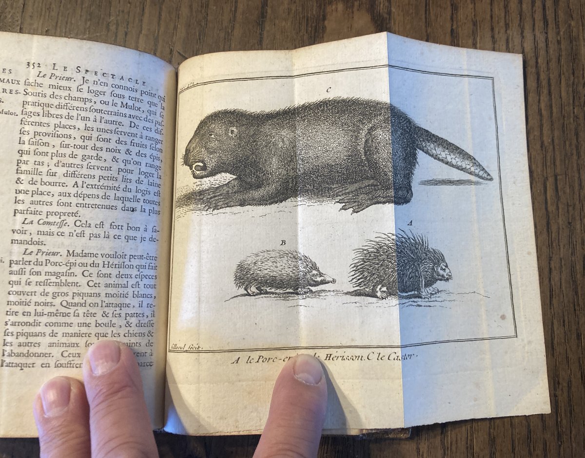 Le spectacle de la nature 1732, 35, 39...Abbé Pluche -  9 volumes.-photo-4