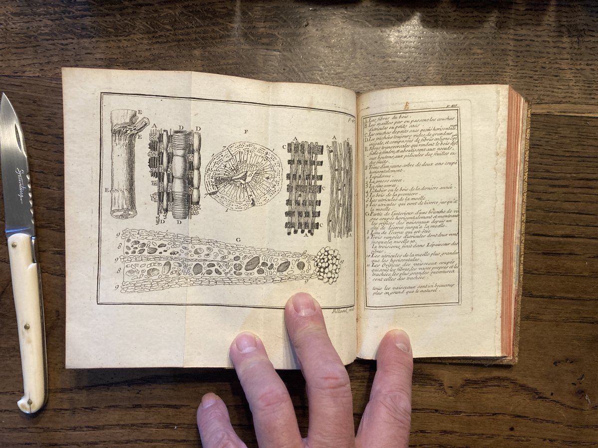 Le spectacle de la nature 1732, 35, 39...Abbé Pluche -  9 volumes.-photo-3