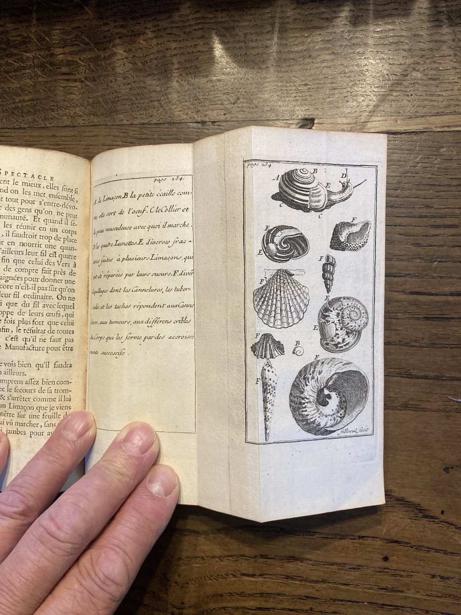 Le spectacle de la nature 1732, 35, 39...Abbé Pluche -  9 volumes.-photo-4