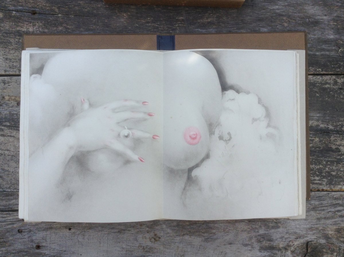 "la Vie Des Seins" -docteur Jacobus-rare Book Imagined By Louis Icart.-photo-4