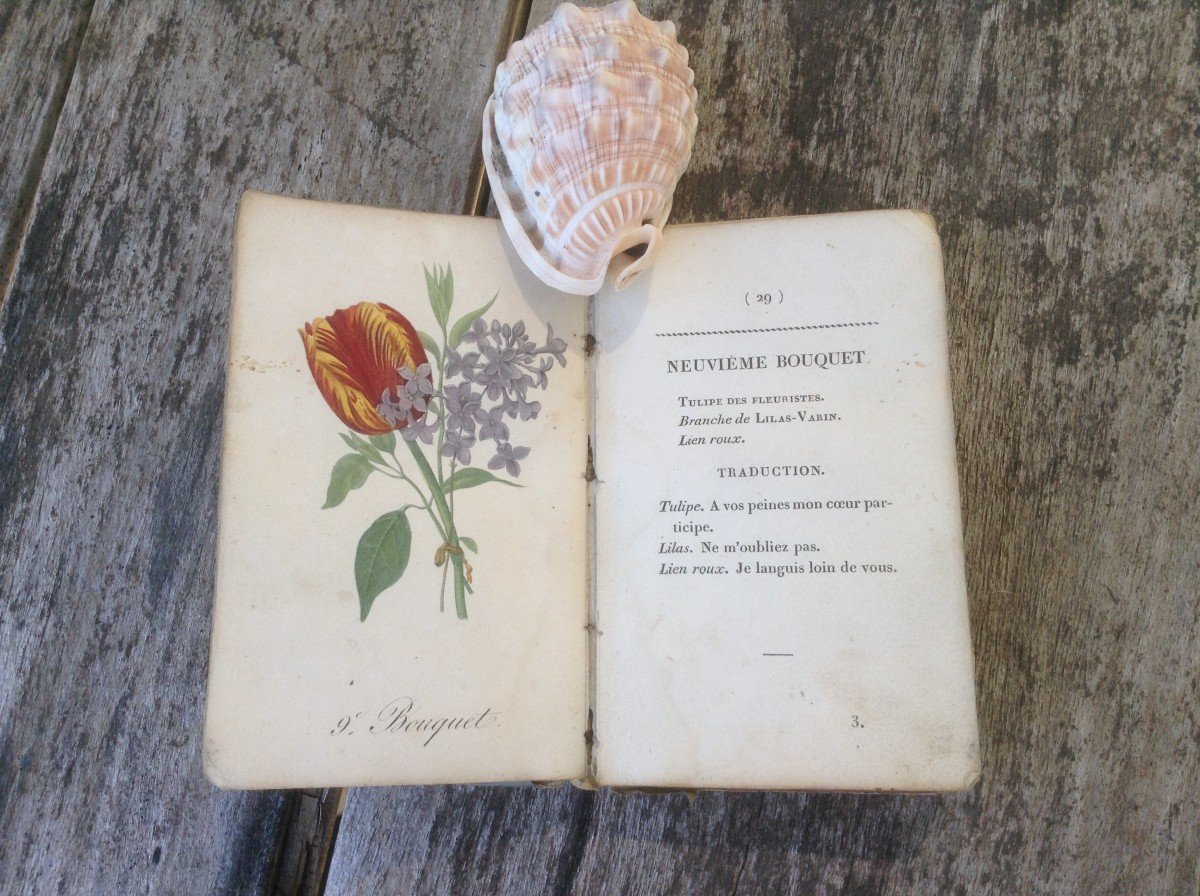 The Language Of Flowers Or The Selams Of The Orient 1820-photo-1
