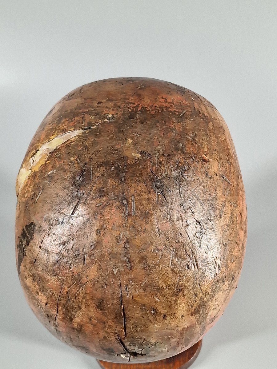 Marotte en bois sculpté monoxyle - Art populaire du XIXe siècle 19e-photo-3