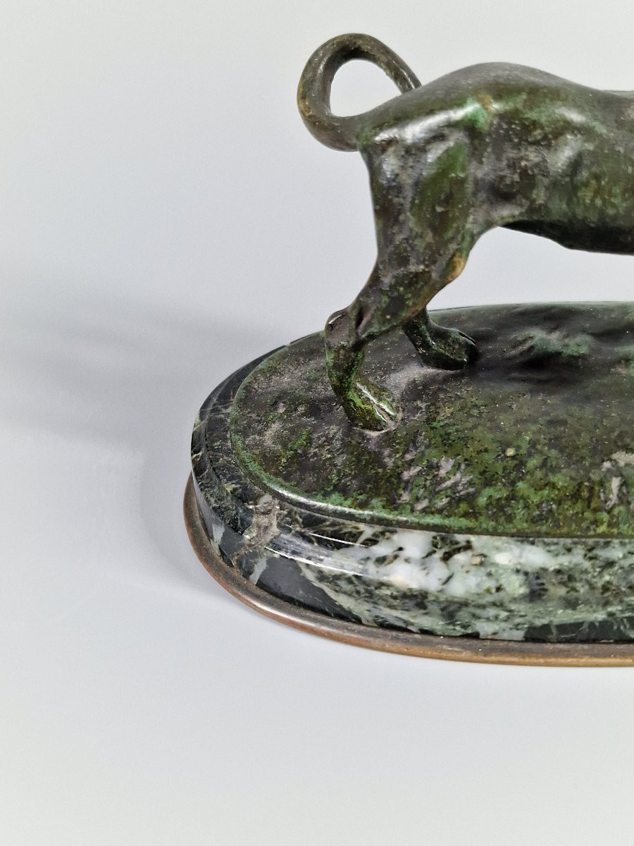 Two Animal Bronzes, Hunting Dogs (beagle?) - Late 19th Century -photo-3