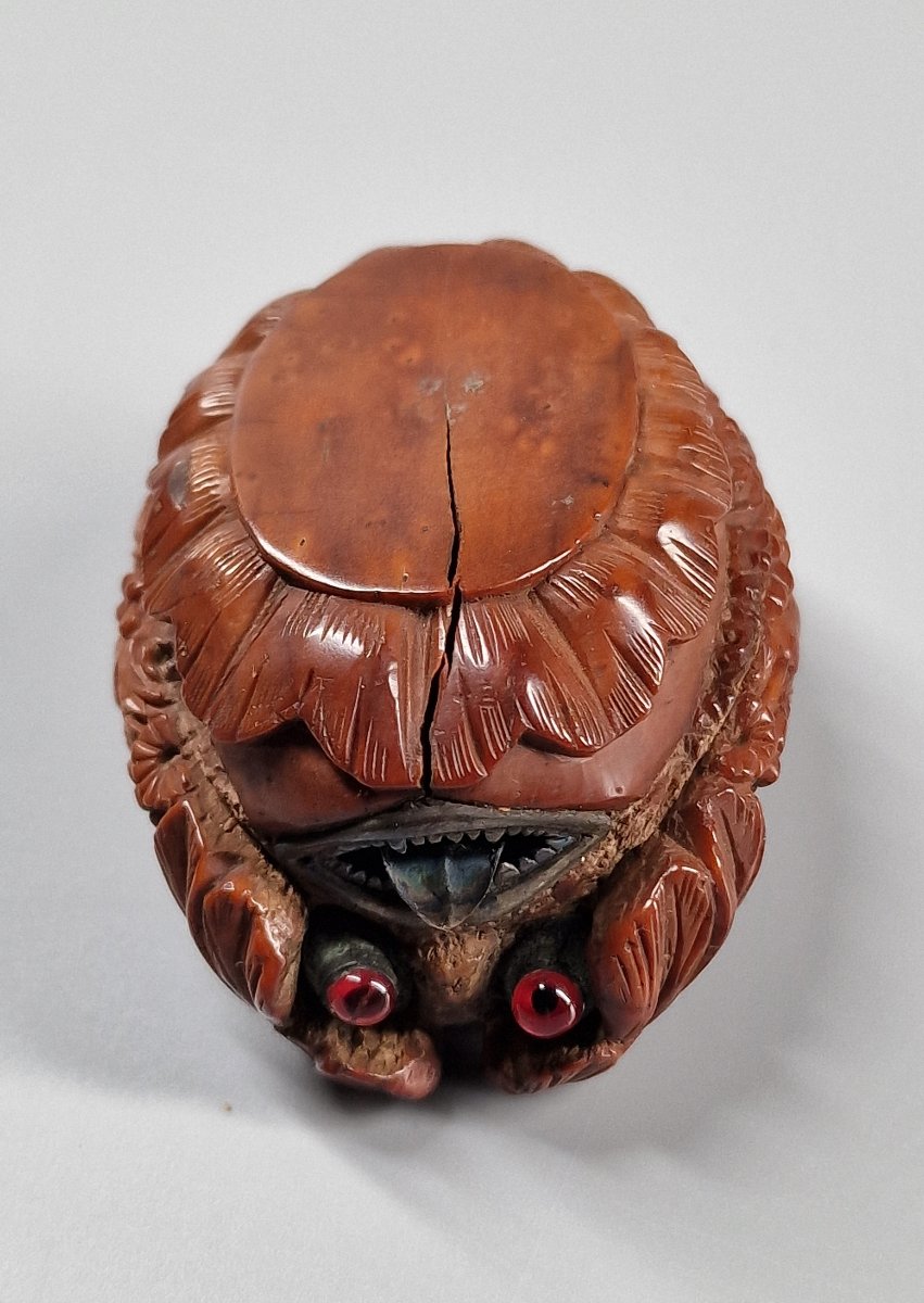 Tabatière en corozo ornée d'un putto sur une corne d'abondance, tête zoomorphe - XIXe siècle-photo-4