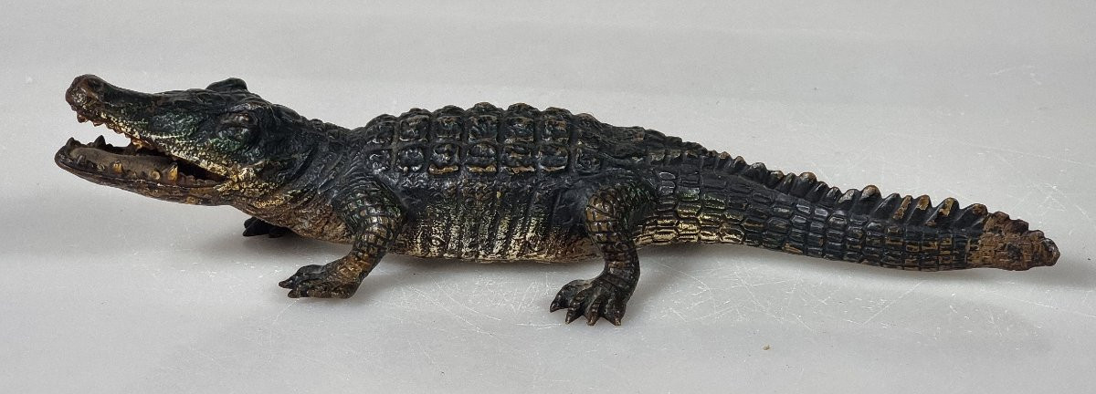 Alligator En Bronze De Vienne, Près De 23 Cm Autriche, XIXᵉ Siècle, Peinture à Froid-photo-3