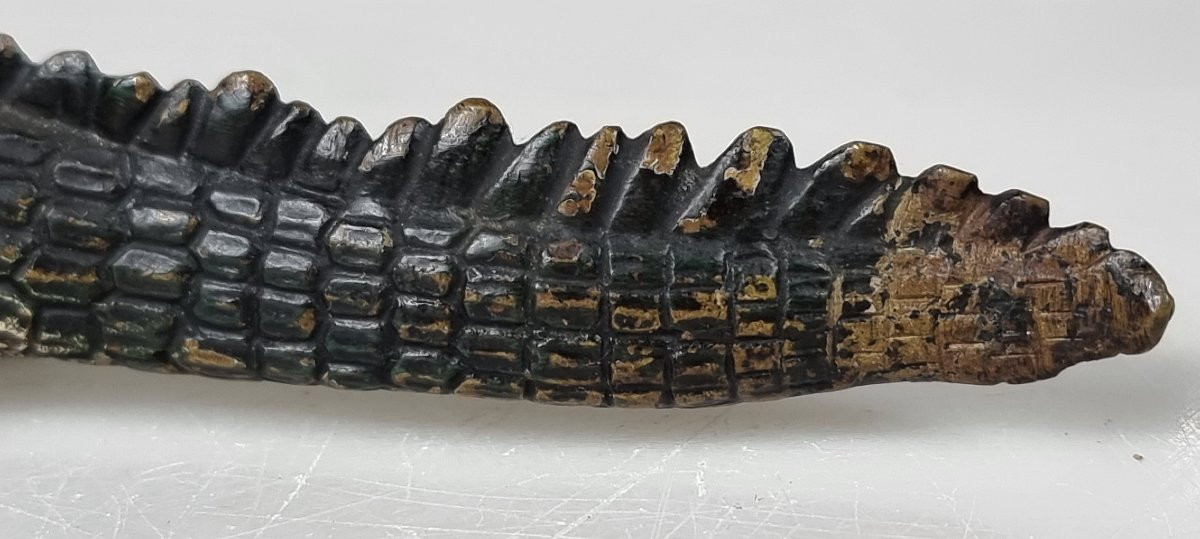 Alligator En Bronze De Vienne, Près De 23 Cm Autriche, XIXᵉ Siècle, Peinture à Froid-photo-3