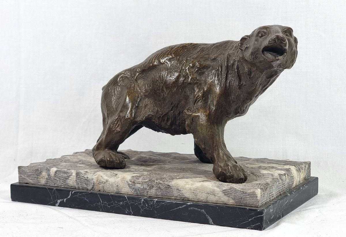 Animalier Art Deco Ours Polaire En Bronze Belge Signé Sylvain Norga – Antiques-photo-3