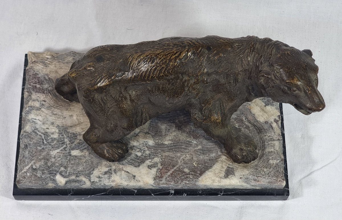 Animalier Art Deco Ours Polaire En Bronze Belge Signé Sylvain Norga – Antiques-photo-4