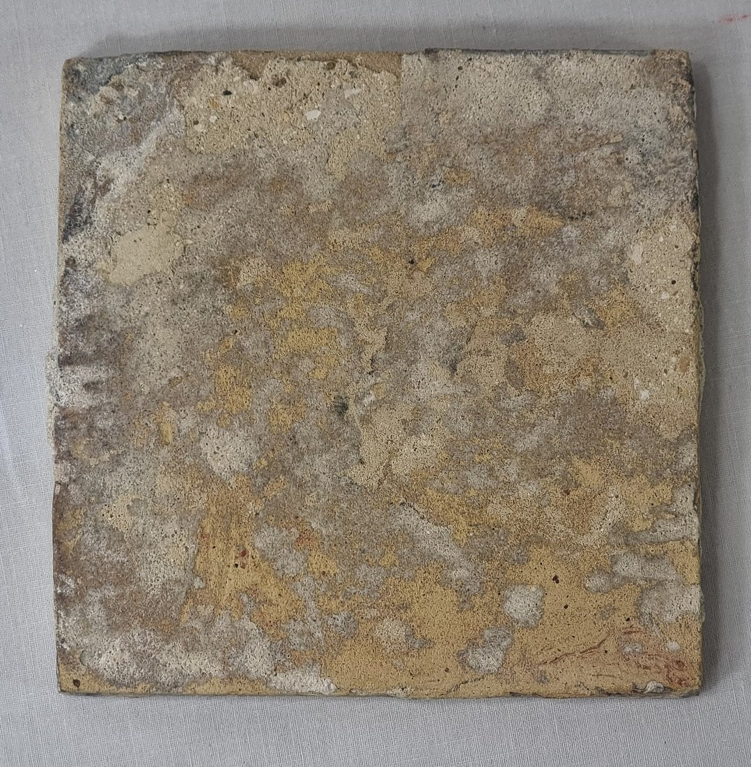 An Antique 17th-century Delft Tile Depicting A Leaping Boar In A Tenoned Frame-photo-2