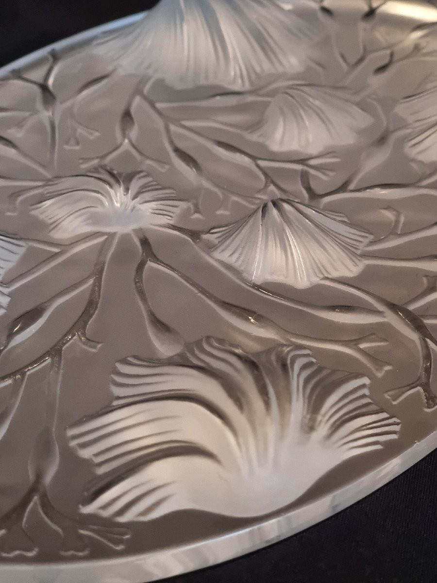 Set Of 5 Decorative Glass Coasters, Scallop Shells, Verlys, France-photo-2