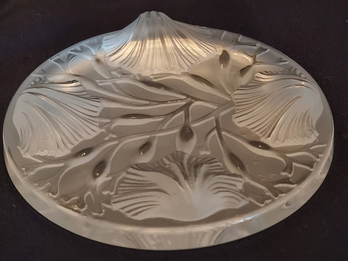 Set Of 5 Decorative Glass Coasters, Scallop Shells, Verlys, France-photo-3