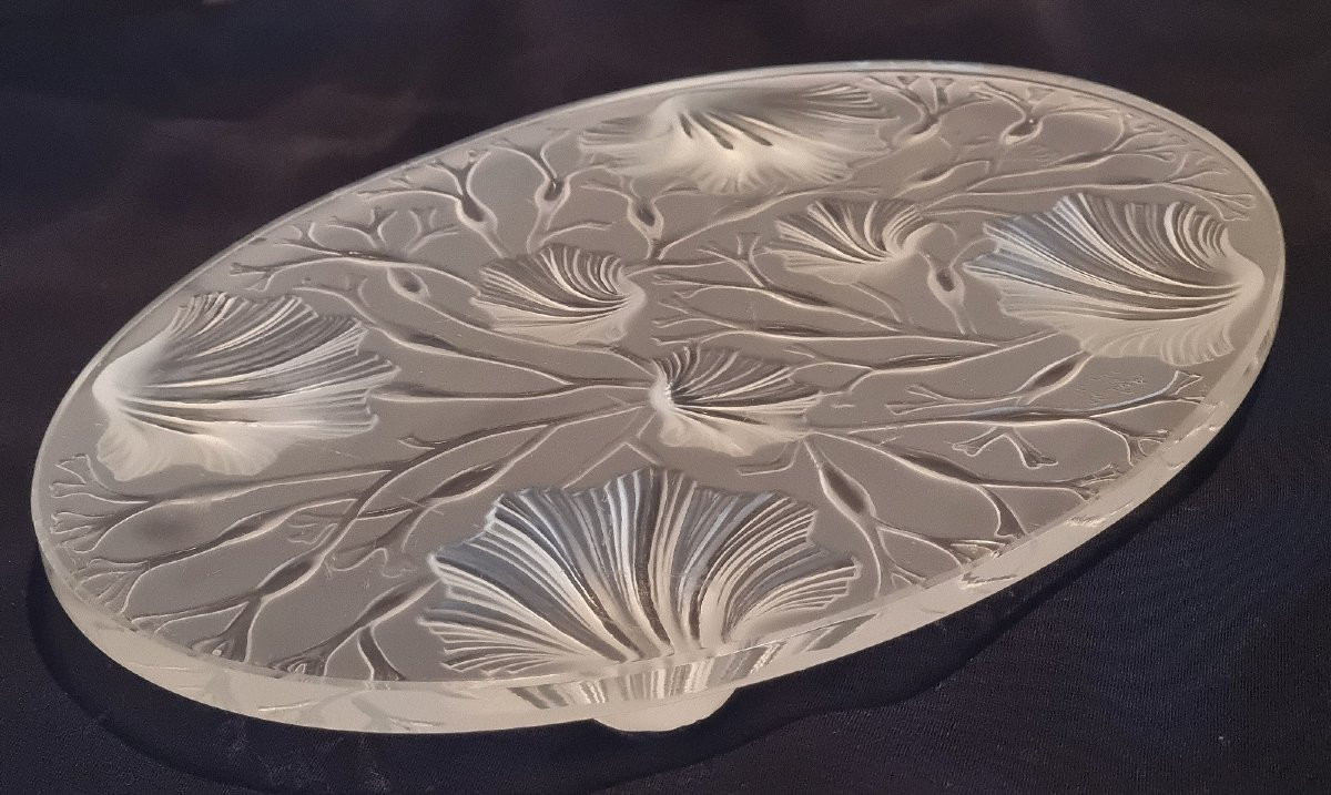 Set Of 5 Decorative Glass Coasters, Scallop Shells, Verlys, France-photo-5