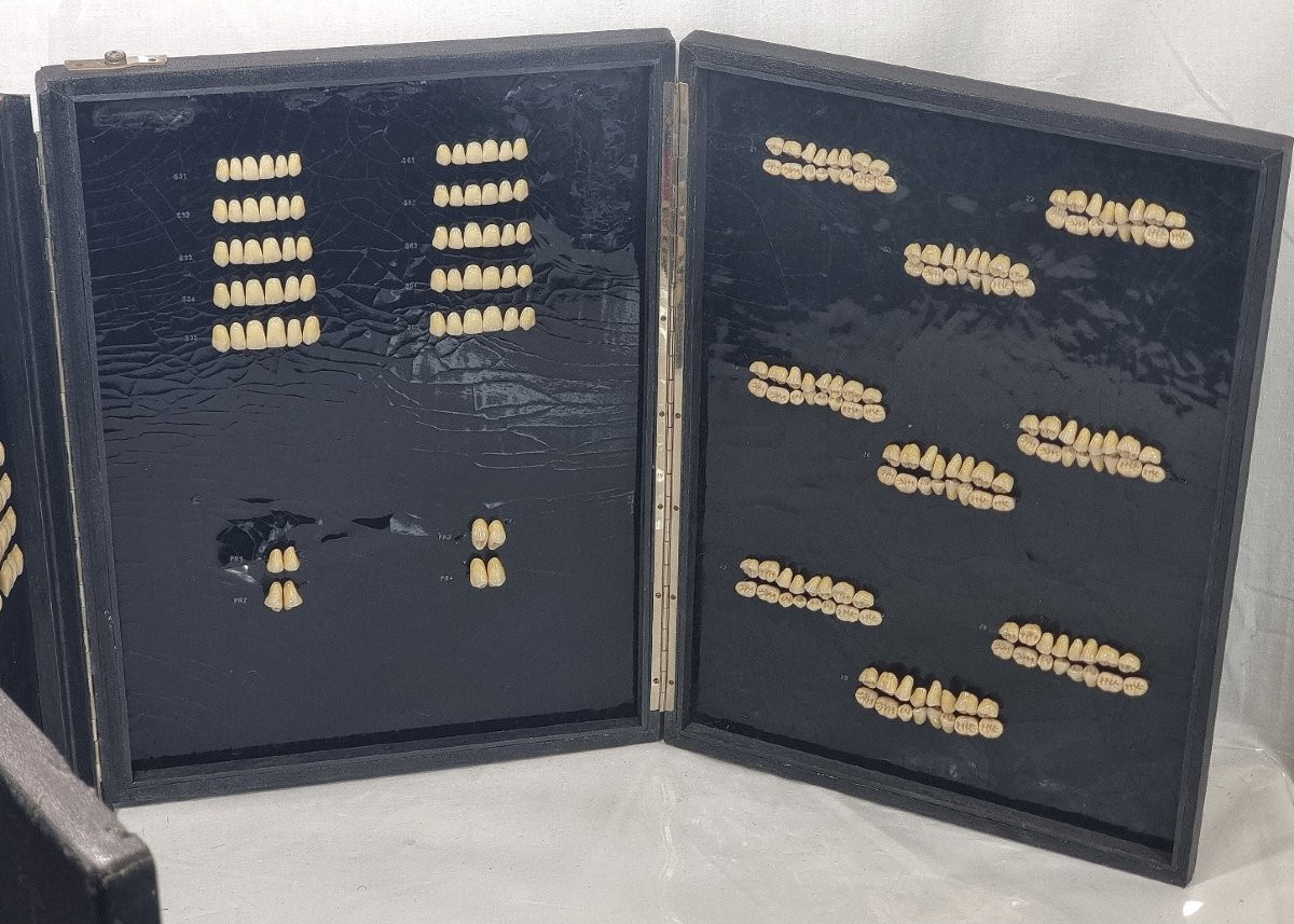 Boîte de modèles dentaires Candulor vintage (Suisse) -photo-1