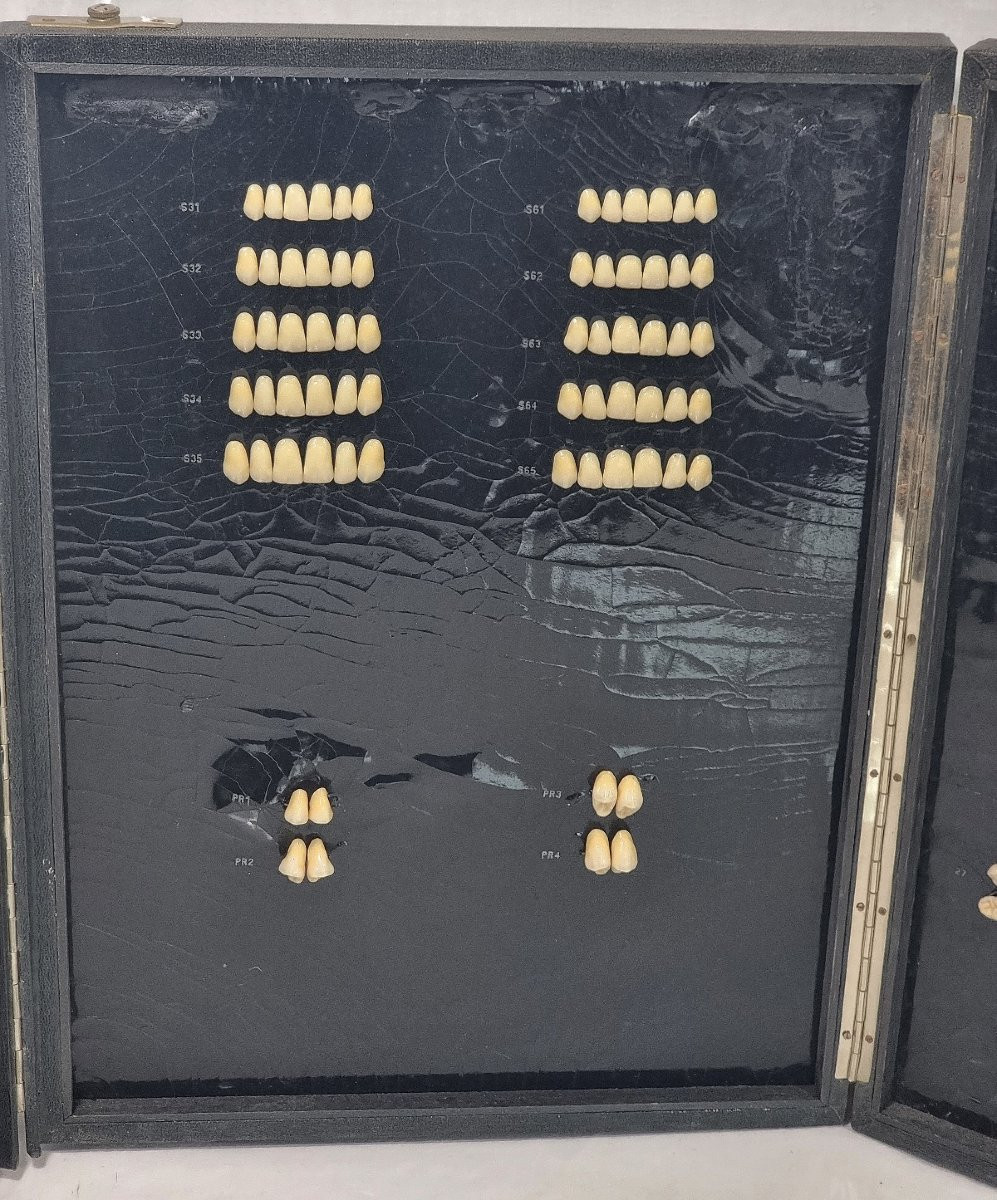 Boîte de modèles dentaires Candulor vintage (Suisse) -photo-3