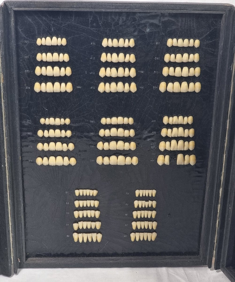 Boîte de modèles dentaires Candulor vintage (Suisse) -photo-4