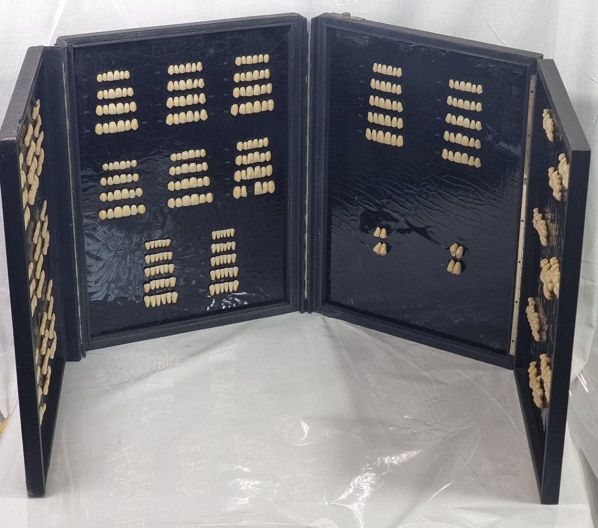 Boîte de modèles dentaires Candulor vintage (Suisse) 