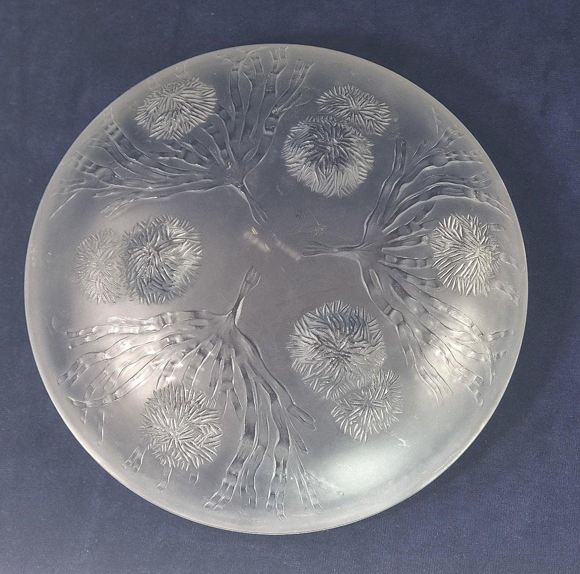 Coupe Art Déco Sabino « Algues et Oursins », gravée, 26 cm, n° 9007-photo-2