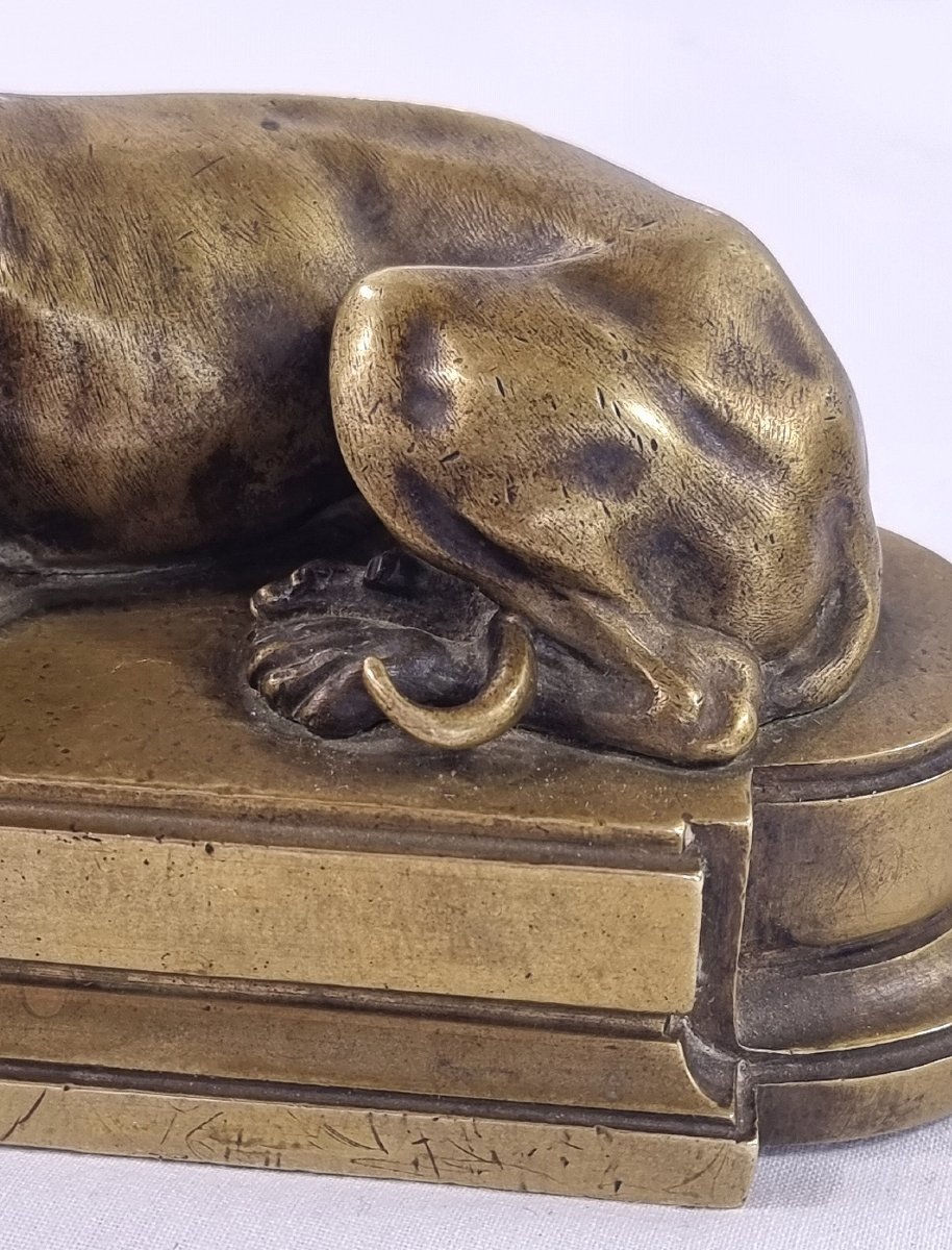 Antique French Sculpture In Solid Brass Depicting A Reclining Greyhound On A Classic Base-photo-5