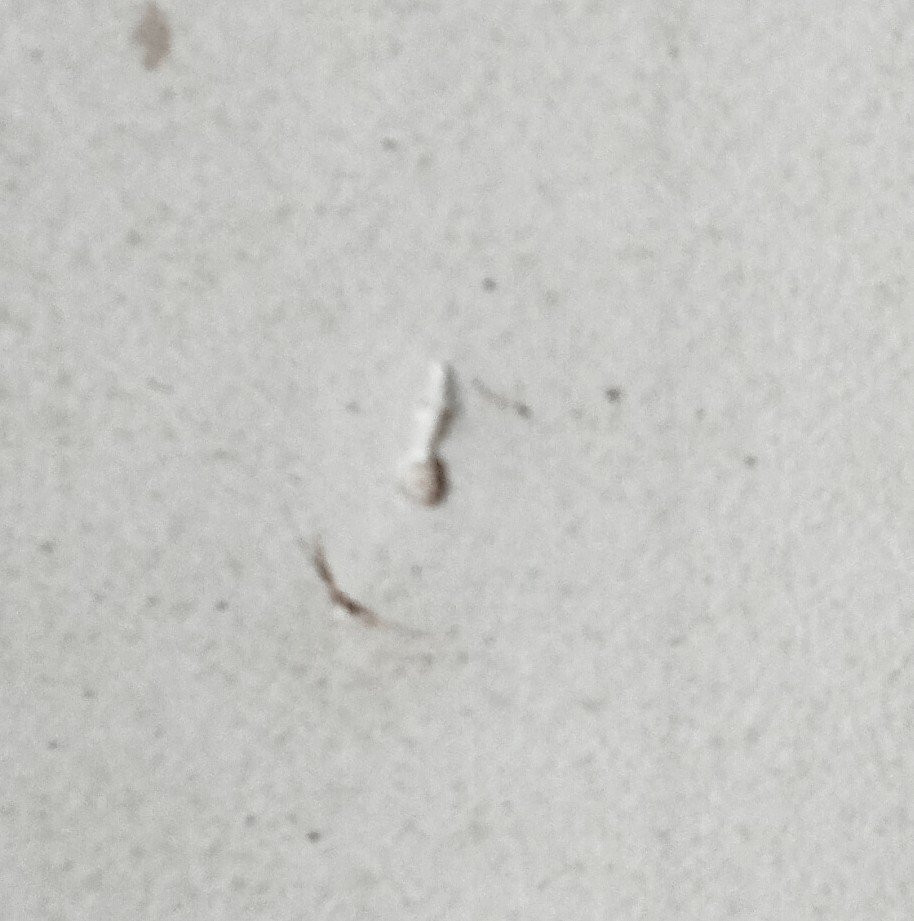  - W. Hoggart - Engraving - The Five Orders Of Perriwigs / Les 5 Perrugues 1761 --photo-1