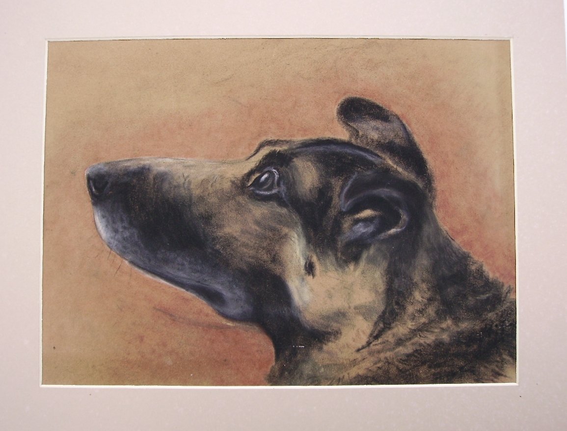 - Pastel Old Framed Dog Profile View - Racy Puppy --photo-3