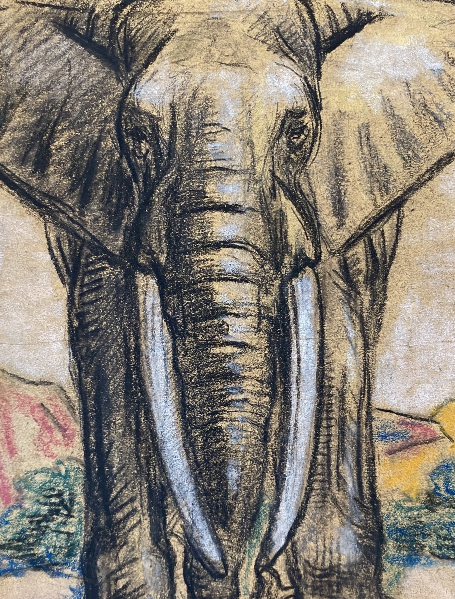 Pablo Tillac (1860-1969), Painter From The Basque Country (cambo), African Elephant, Charcoal And Pastel Drawings-photo-2