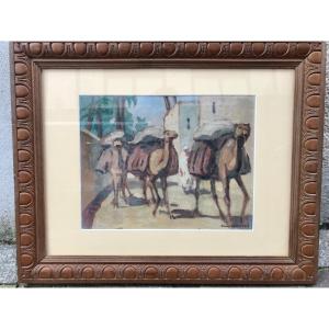 Orientalist Early 20th Gouache Camels Morocco Rene Limousis