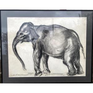 Rodolphe Caillaux Dessin éléphant  Peintre Pays Basque St Jean De Luz Fauvisme Animalier