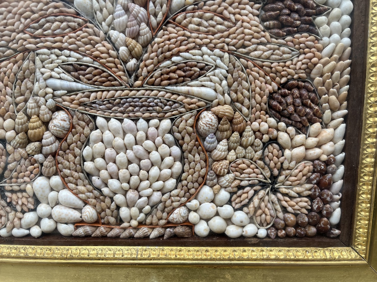 Shell Painting.-photo-1