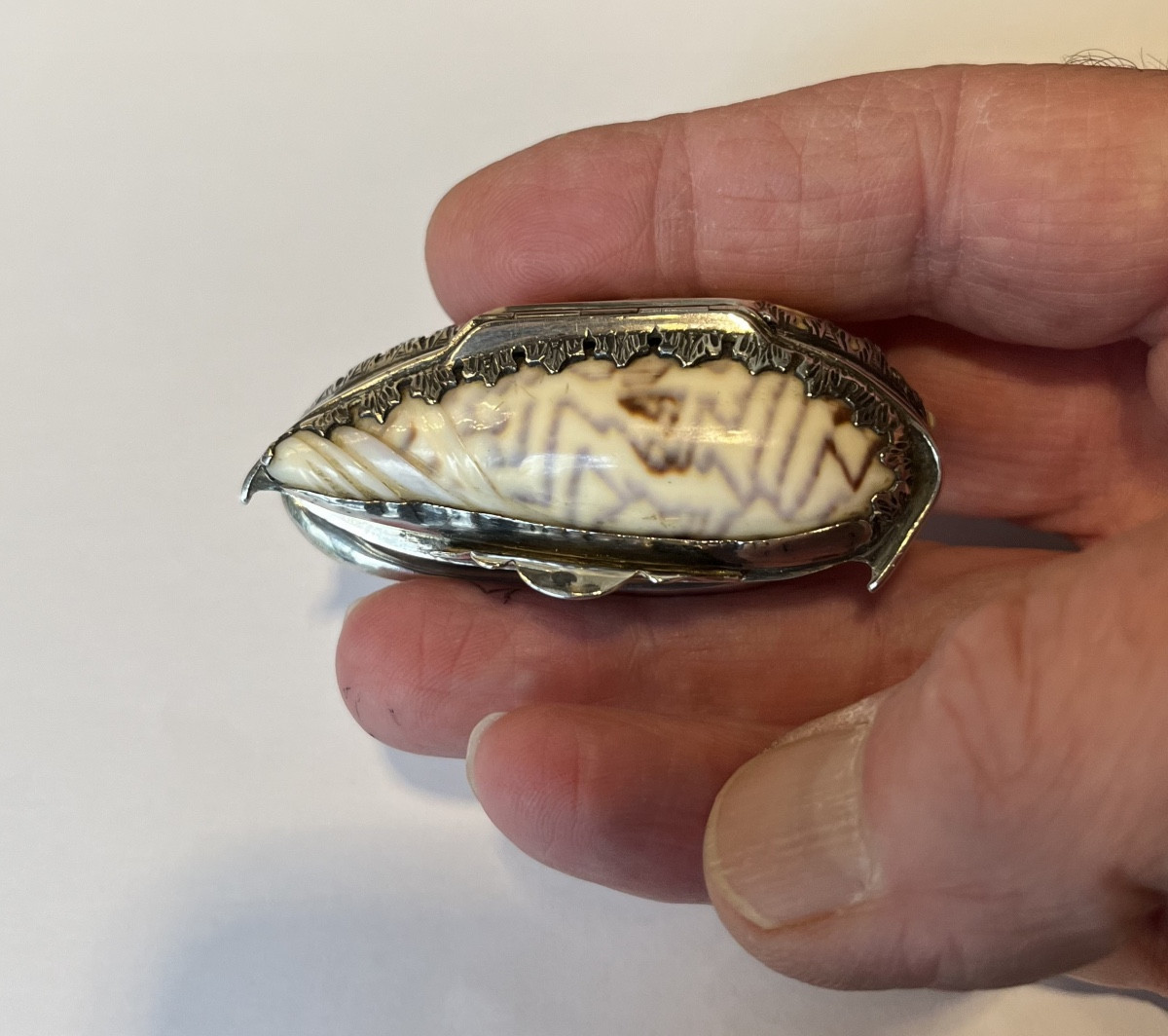 Boîte à pilules en coquillage montée en argent .-photo-7