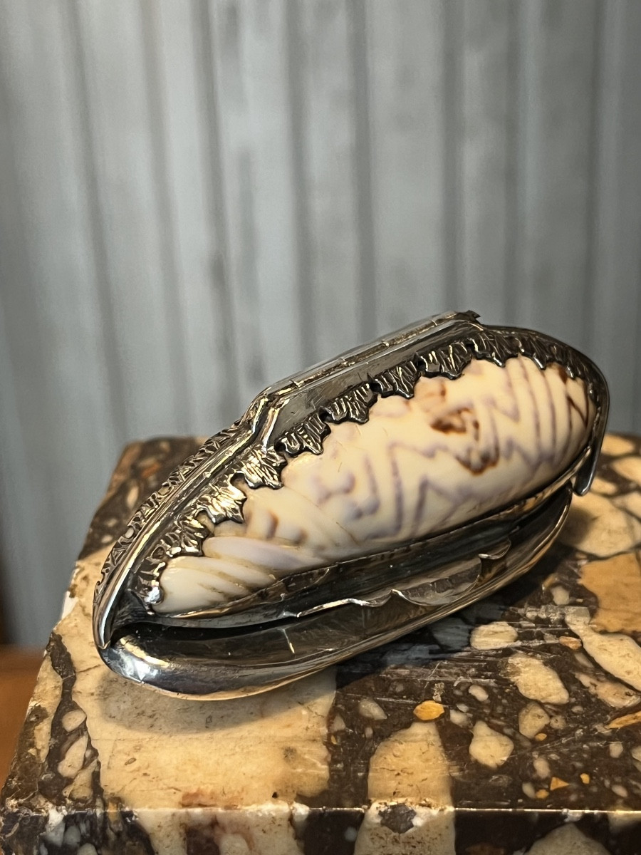 Boîte à pilules en coquillage montée en argent .